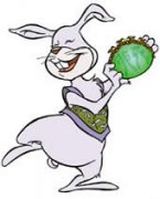生肖兔的超级爆笑点评