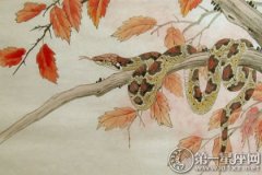 杨清华：丙申猴年属蛇的运程