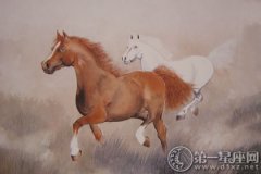 杨清华：丙申猴年属马的运程