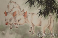 <b>杨清华：丙申猴年属猪的运程</b>