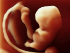 梦见胎儿意味着什么