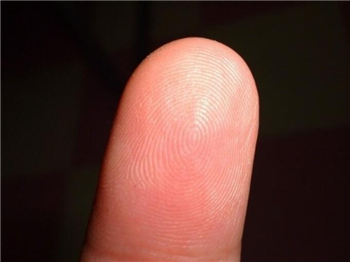 婚姻配对看指纹：注意手指纹带来的影响